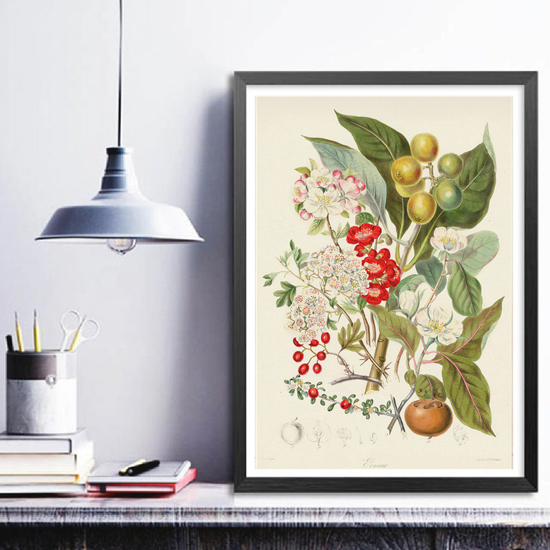 Винтажные постеры и принты с б – обзор и цена Vintage Collectible Posters